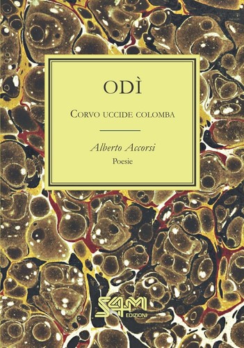 Odì corvo uccide colomba - colomba,