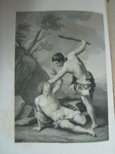Stampa antica caino che - stampa,