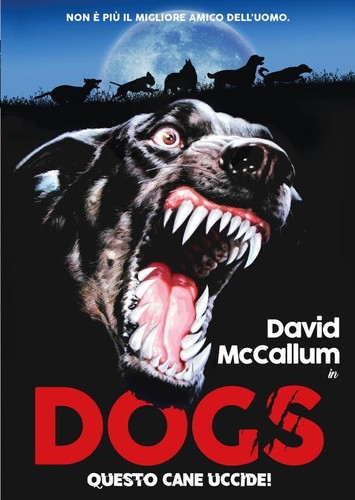 Dogs questo cane - dogs, uccide