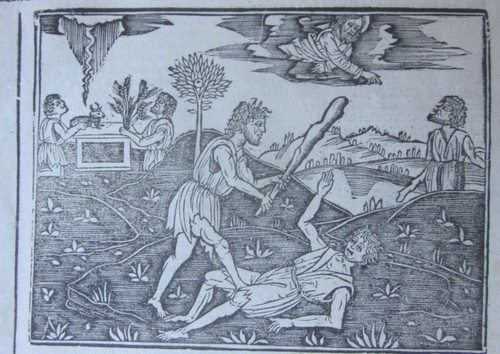 1535 caino uccide abele - uccide,