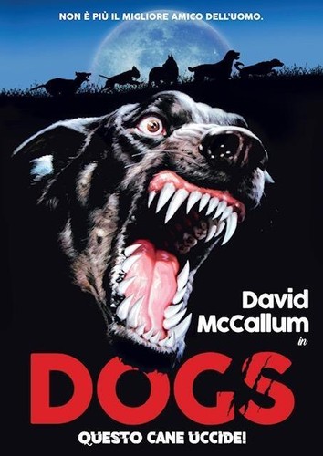 Dogs questo cane uccide dvd - questo, uccide!